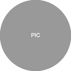 pic pic